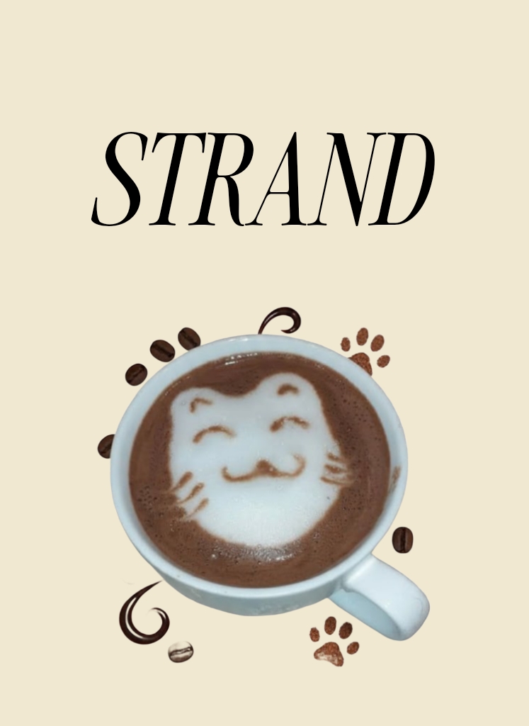 هوت شوكلت اورجينال